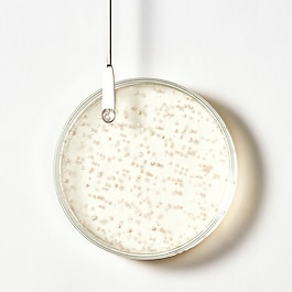Triphasic - Shampooing antichute